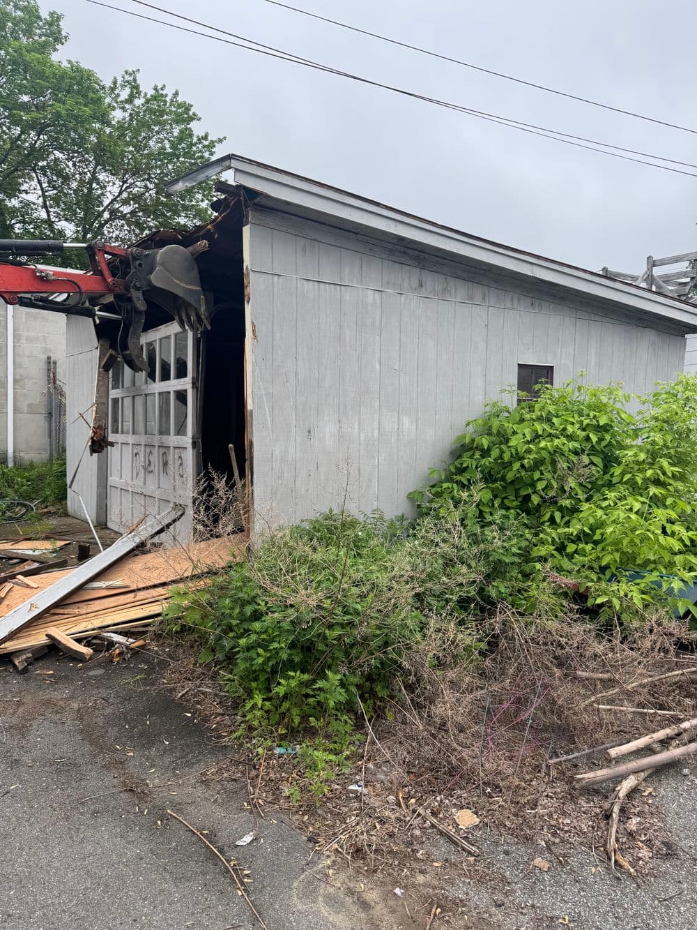 Abandoned shed with damaged roof and overgrown vegetation, showing signs of decay.